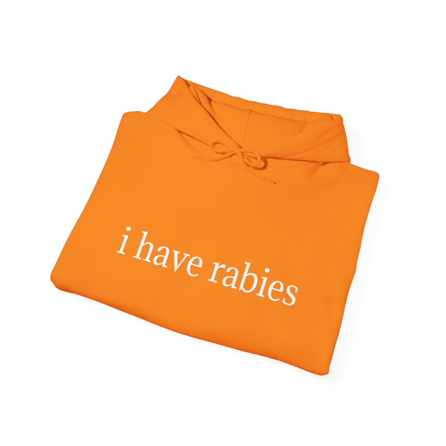 'I Have Rabies' Statement Hoodie